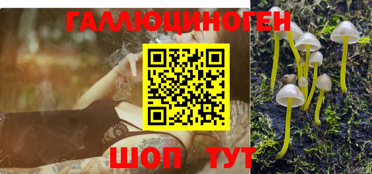 хочу   Галлюциногенные грибы GOLDEN TEACHER  Вход с VPN  Мариинск 