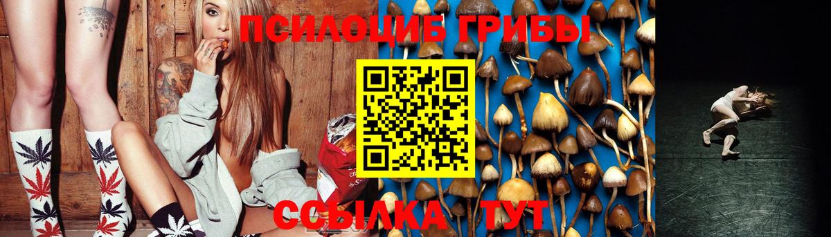 Галлюциногенные грибы Cubensis Мариинск